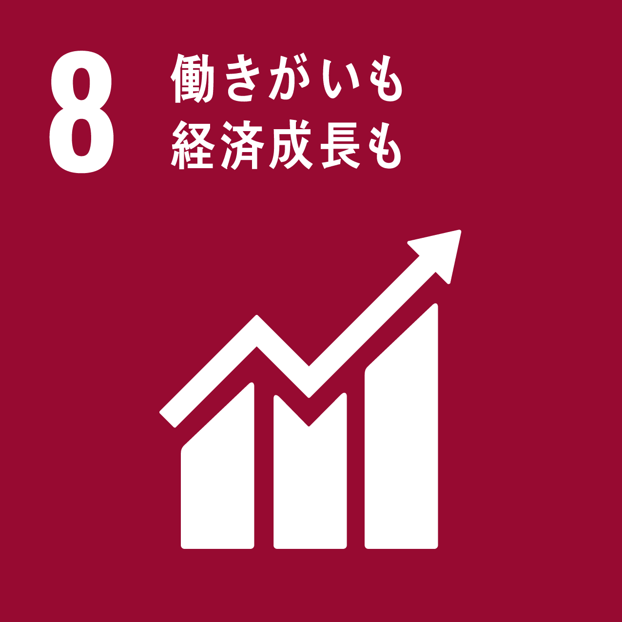 SDGsゴール8 包摂的かつ持続可能な経済成長及びすべての人々の完全かつ生産的な雇用と働きがいのある人間らしい雇用（ディーセント・ワーク）を促進する