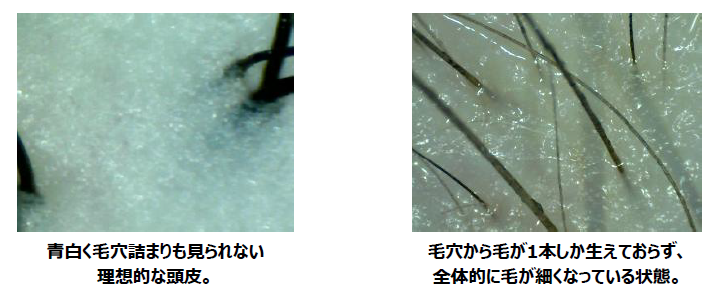 touhi_letter_hikaku.png
