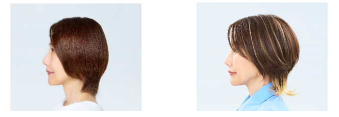 carael_model1.png