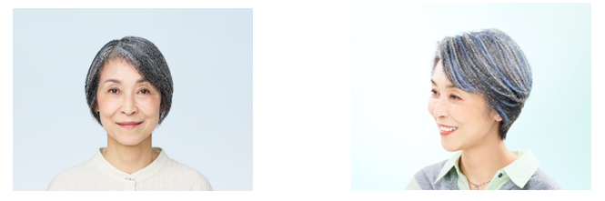 carael_model3.png