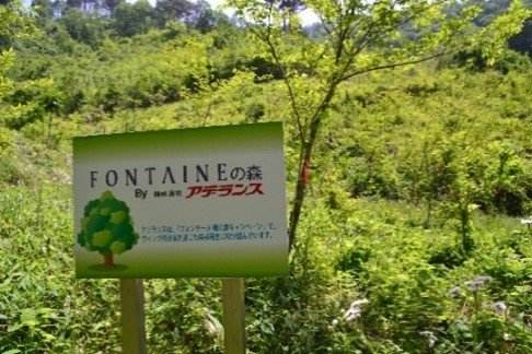 fontaine_midorinomori.jpg